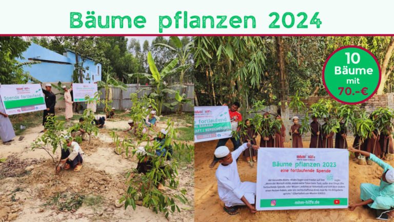 Bäume pflanzen spenden